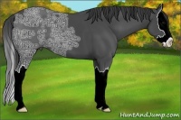 Horse Color:Smoky Black Ice Sabino Splash