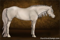 Horse Color:Chocolate Palomino Pearl