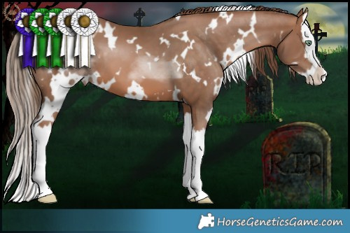 Horse Color:White Spotted Brown Pearl Splash 