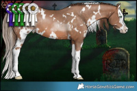 Horse Color:White Spotted Brown Pearl Splash 