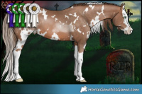 Horse Color:White Spotted Brown Pearl Splash