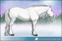 Horse Color:Silver Brown Chinchilla Sabino Rabicano