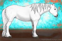 Horse Color:Gray Blue Roan Frame 