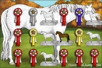 Horse Color:Gray White Spotted Black Splash Rabicano