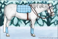 Horse Color:Silver Amber Champagne Tobiano Appaloosa