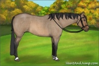 Horse Color:Bay Roan Dun