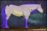 Horse Color:Watercolor White Spotted Buckskin Dun Sabino 