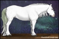 Horse Color:Watercolor White Spotted Buckskin Sabino Appaloosa Rabicano