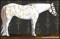 Horse Color:Classic Champagne Roan Dun Splash Blanket 