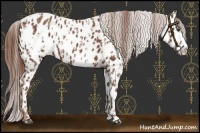 Horse Color:Chestnut Near Leopard  and Chestnut Frame Near Leopard 