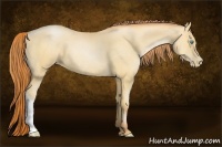 Horse Color:Amber Champagne Pearl 