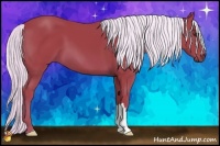 Horse Color:Watercolor Liver Chestnut