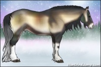 Horse Color:Brown Onyx 