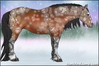 Horse Color:Brown Ice Sabino Rabicano 
