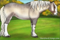 Horse Color:Liver Red Onyx Roan 