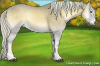 Horse Color:Palomino Onyx