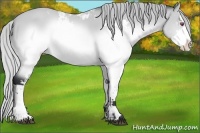 Horse Color:Silver Brown Chinchilla Sabino 