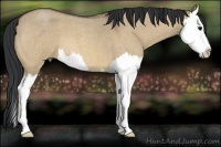 Horse Color:Bay Roan Dun Splash 