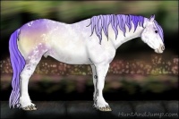 Horse Color:Watercolor Bay Onyx Sabino