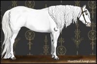 Horse Color:Silver Buckskin Appaloosa 