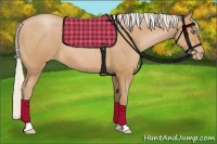 Horse Color:Silver Bay Pearl