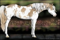 Horse Color:White Spotted Liver Chestnut Splash 