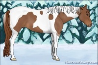 Horse Color:Red Roan Tobiano 