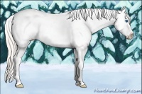 Horse Color:Silver Classic Champagne Roan Splash Tobiano Appaloosa 