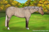 Horse Color:Silver Bay Roan Dun 