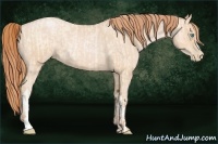 Horse Color:Buckskin Roan Pearl  and Buckskin Roan Pearl 