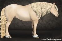 Horse Color:Gold Champagne Pearl Rabicano 