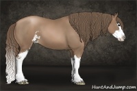 Horse Color:Black Pearl Sabino Splash