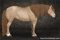 Horse Color:Brown Pearl Sabino
