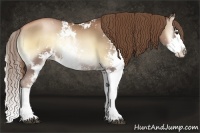 Horse Color:Liver Red Onyx Pearl Sabino Splash Rabicano