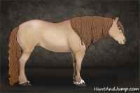 Horse Color:Brown Pearl Sabino