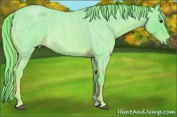 Horse Color:Watercolor Red Roan 