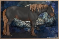 Horse Color:Liver Chestnut Rabicano 