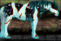 Horse Color:Thunderstruck Bay Ice Splash Appaloosa 