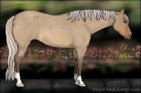 Horse Color:Silver Bay Roan Dun 
