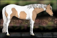 Horse Color:Silver Buckskin Roan Tobiano