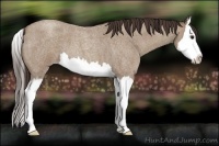 Horse Color:Classic Champagne Roan Splash
