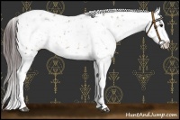 Horse Color:Bay Snowflake Varnish