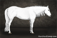 Horse Color:Gray Black Tobiano Blanket 