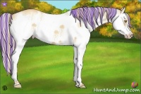 Horse Color:Painted White Spotted Silver Classic Champagne Dun Splash Frame 