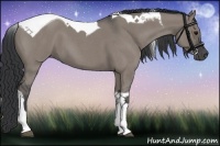 Horse Color:Grullo Roan Tobiano 