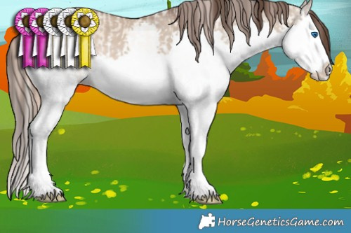 Horse Color:Gold Champagne Dun Splash  and Liver Red Dun Splash 