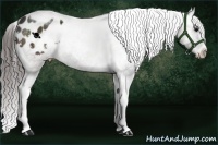 Horse Color:Brown Tobiano Frame Varnish