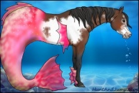 Horse Color:Bay Frame 