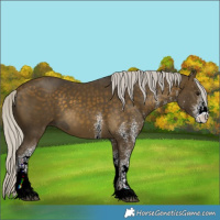Horse Color:ERROR: UNKNOWN ANOMALY