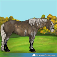 Horse Color:ERROR: UNKNOWN ANOMALY